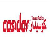 Read more about the article Cosider Travaux Publics
