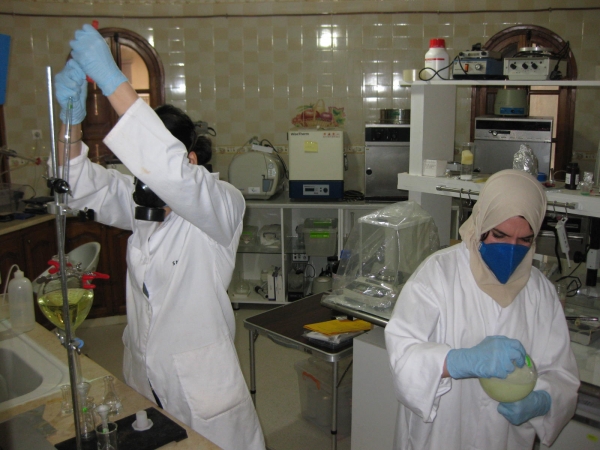 Read more about the article Analyses de laboratoire