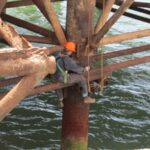 Inspections et expertises des structures maritimes