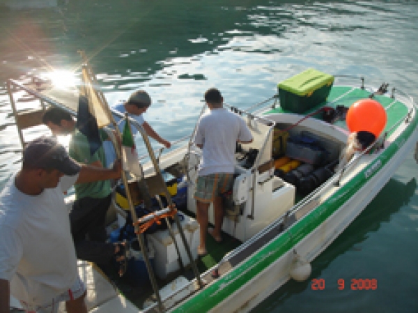 Read more about the article A propos de Vert et Bleu